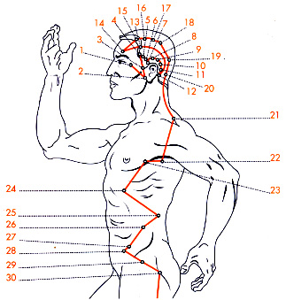 Riflessologia Cuore Intestino